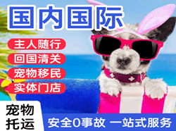 龙嘉机场空运国际宠物托运 【国